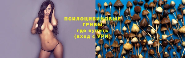 мет Липки