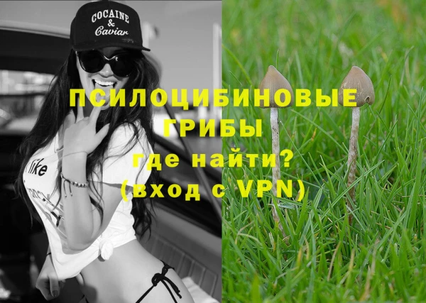 мет Липки