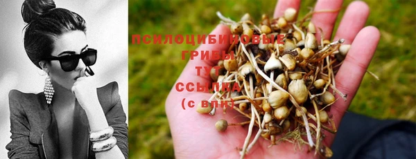 гашик Лихославль