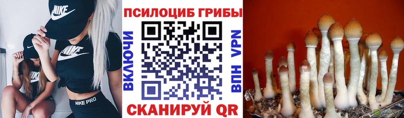 Псилоцибиновые грибы ЛСД  как найти закладки  Пойковский 